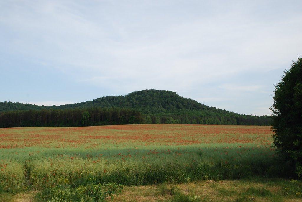 Малі Бережці з panoramio.com - Mali Berezhtsi