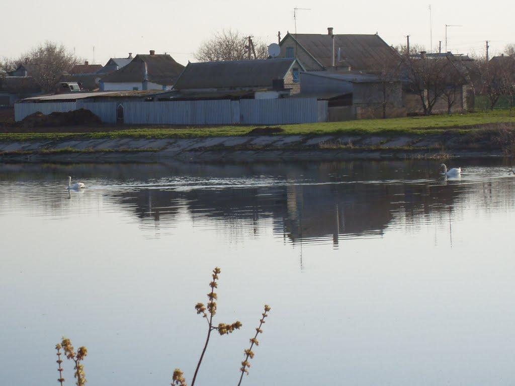 Вільне з panoramio.com - Вільне