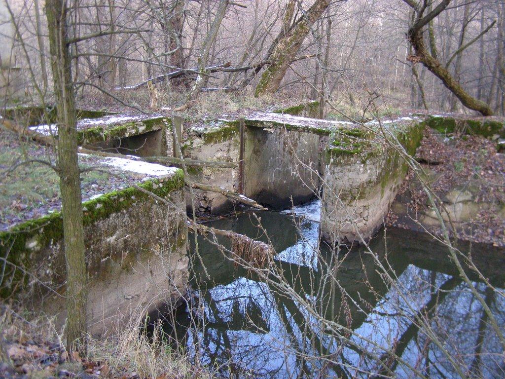 Барди з panoramio.com - Барди