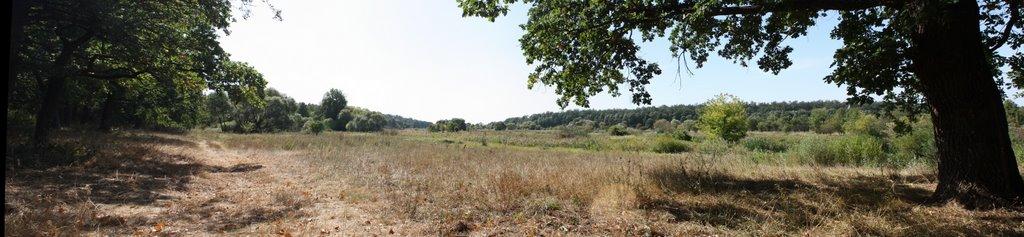 Чорногородка з panoramio.com - Чорногородка