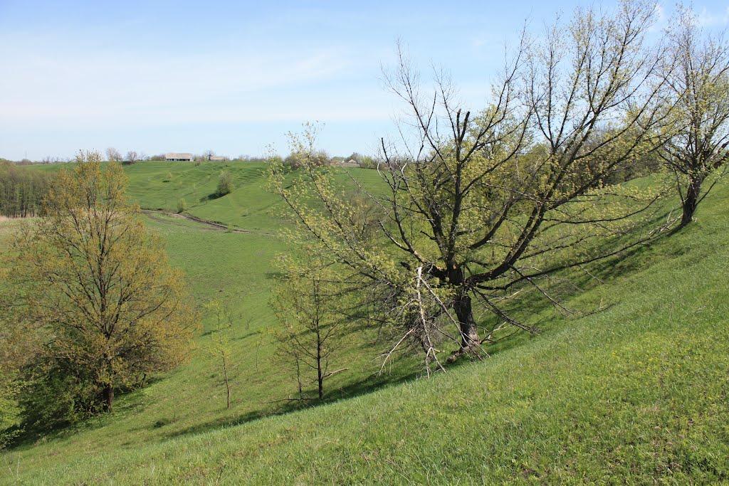 Загородище з panoramio.com - Загородище