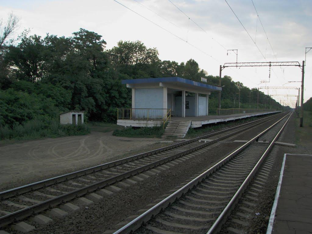 Марківці з panoramio.com - Марковцы