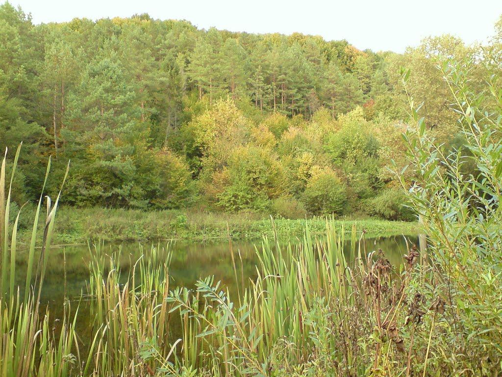 Рогачин з panoramio.com - Рогачин