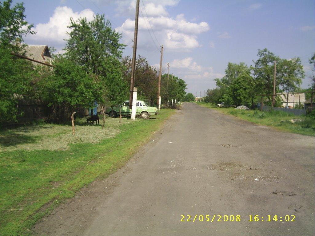 Микільське з panoramio.com - Mykilske