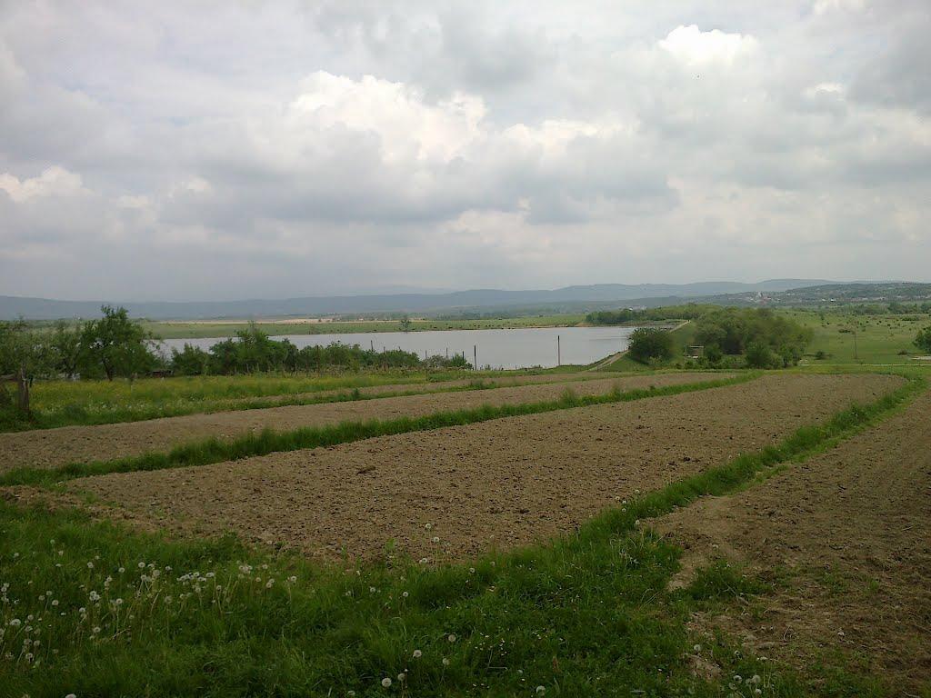 Пістрялово з panoramio.com - Пестрялово