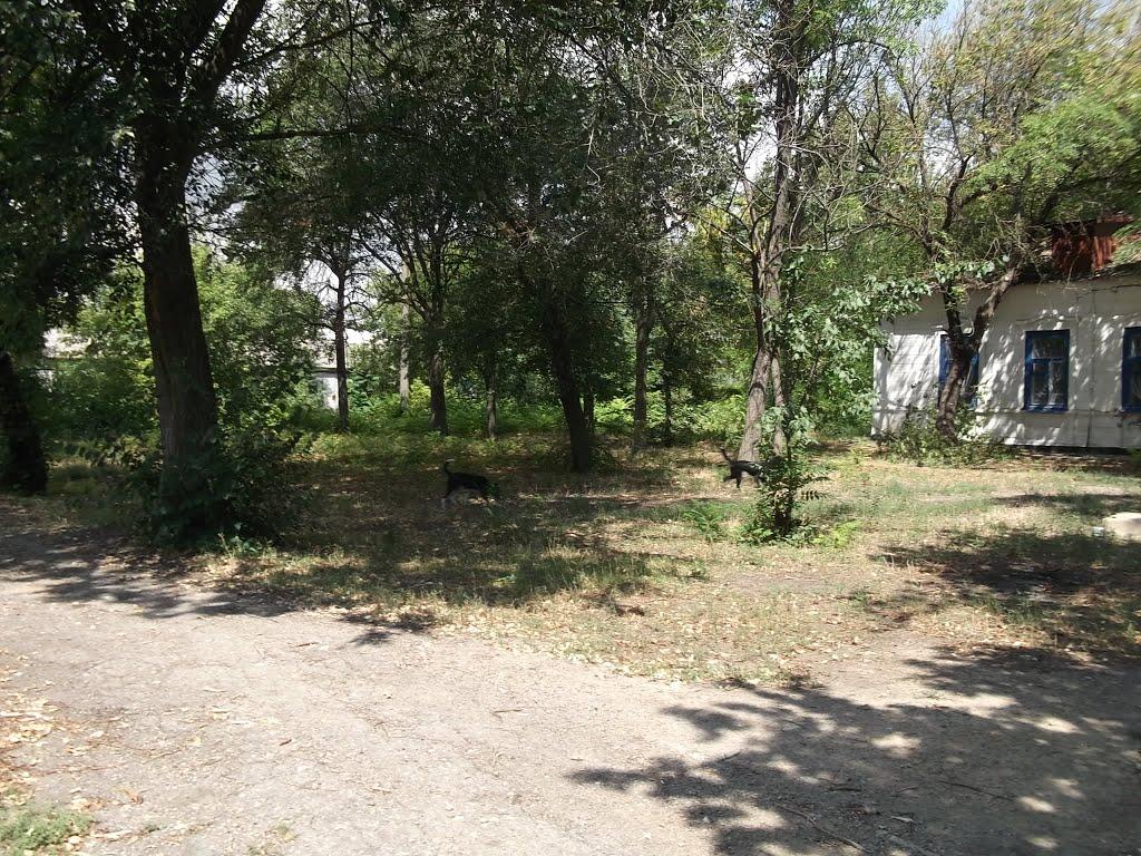 Якимівка з panoramio.com - Акимовка