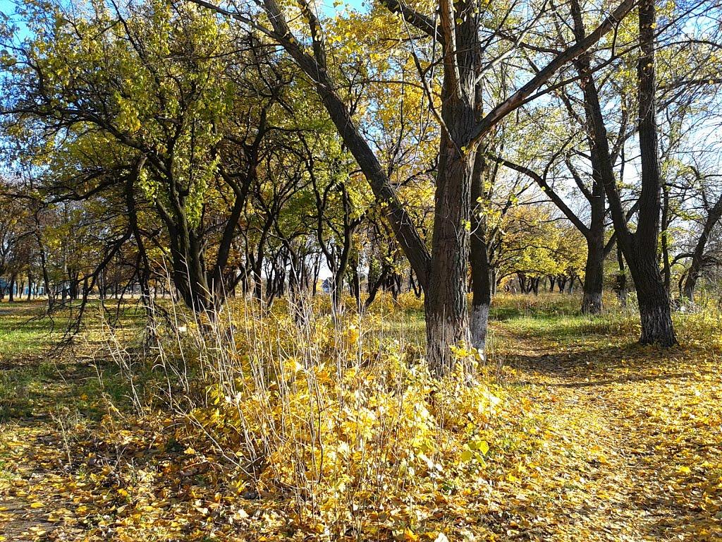 Родинське з panoramio.com - Родинське