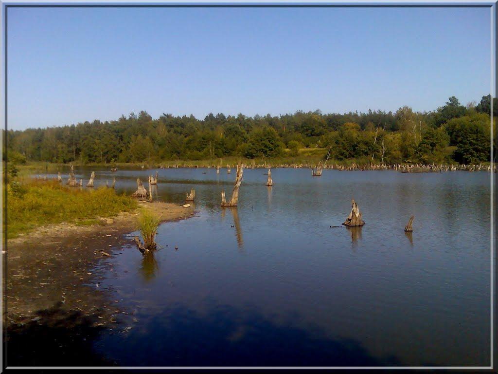 Гута з panoramio.com - Гута