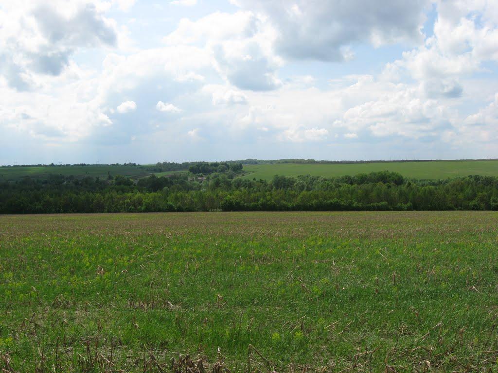 Лікарівщина з panoramio.com - Лікарівщина