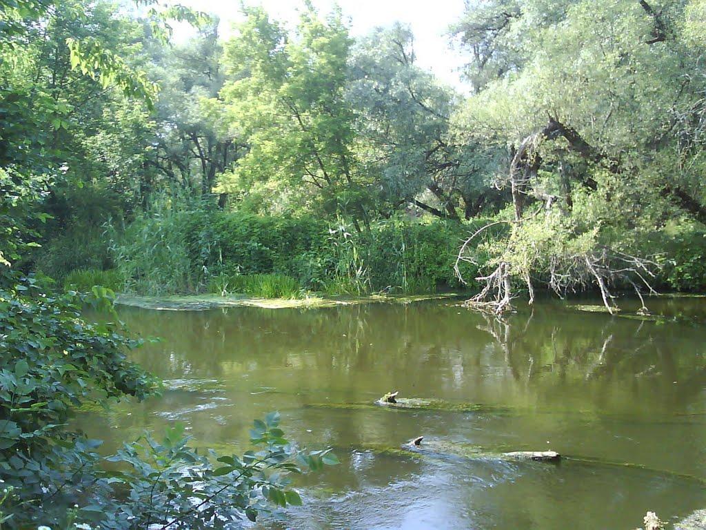 Есхар з panoramio.com - Есхар