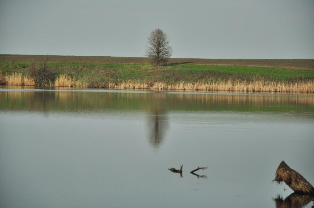Фарбоване з panoramio.com - Фарбованое
