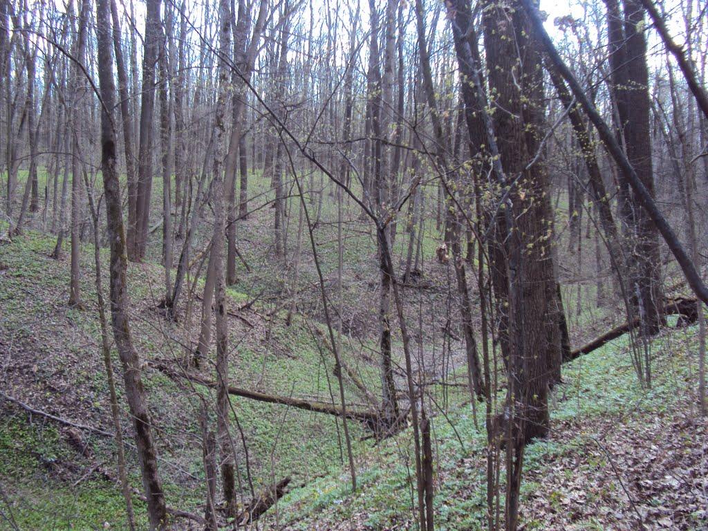 Розсошенці з panoramio.com - Рассошенцы