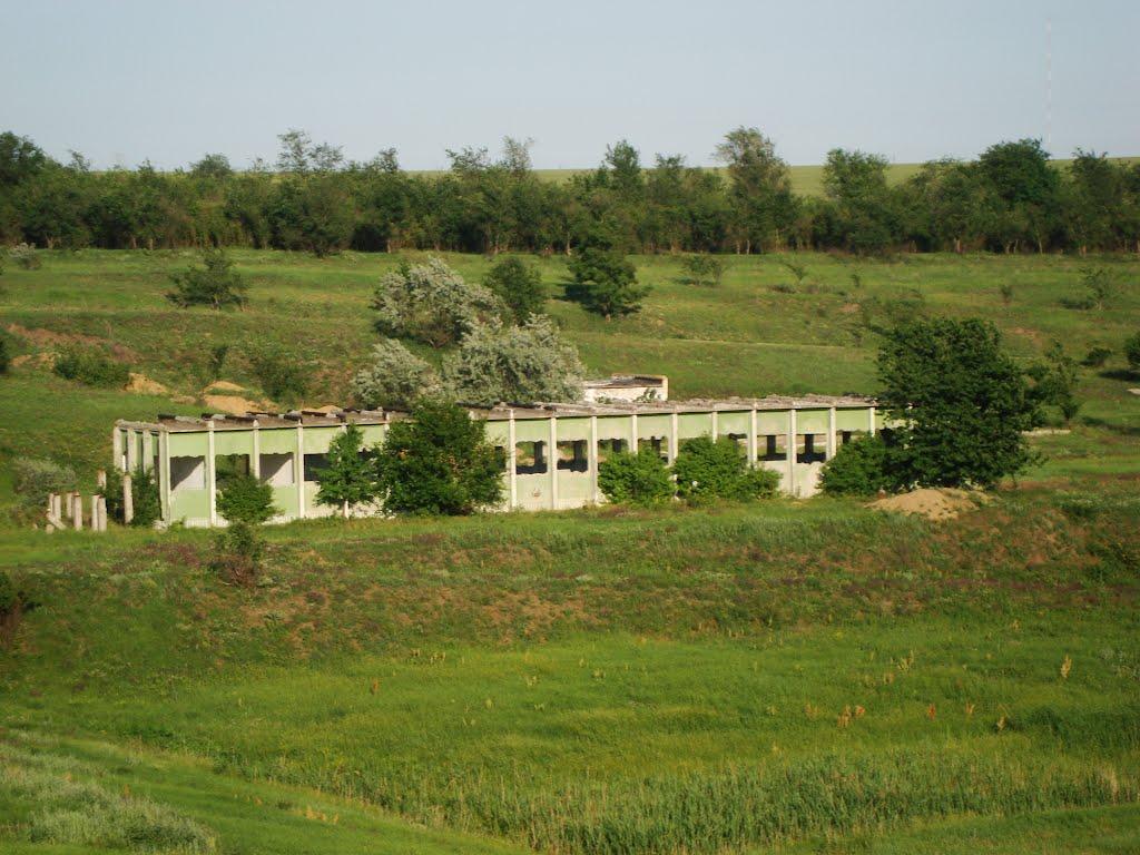 Світле з panoramio.com - Светлое