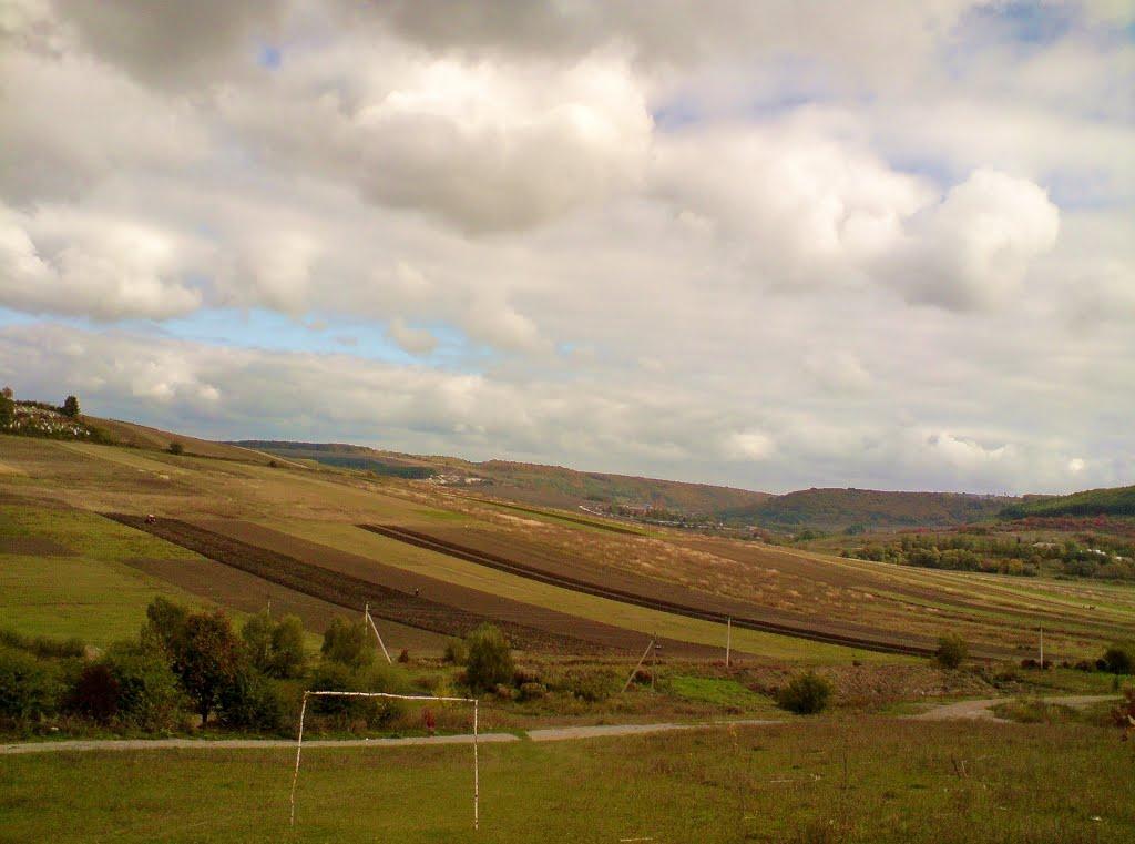 Куряни з panoramio.com - Куряни