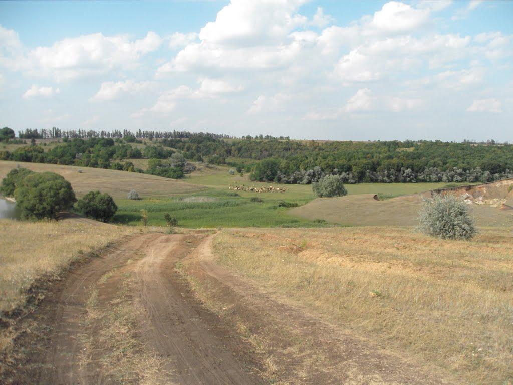 Верхня Орілька з panoramio.com - Верхня Орілька