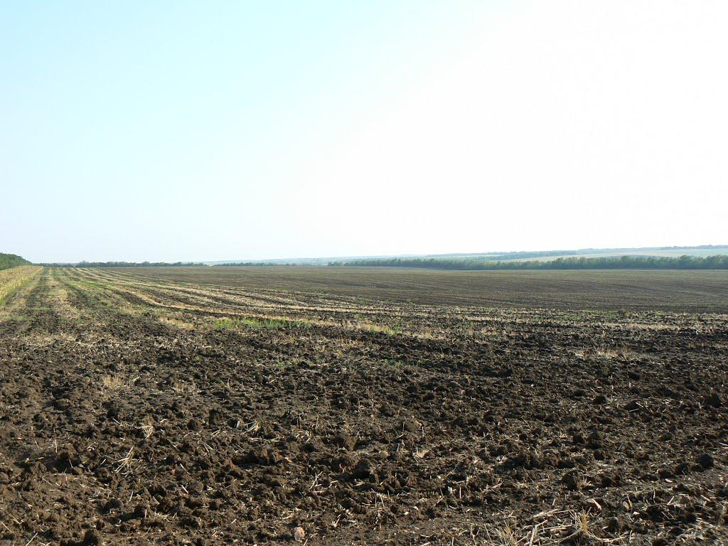 Новоукраїнка з panoramio.com - Новоукраїнка