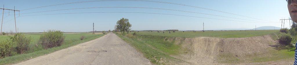 Матійово з panoramio.com - Матійово