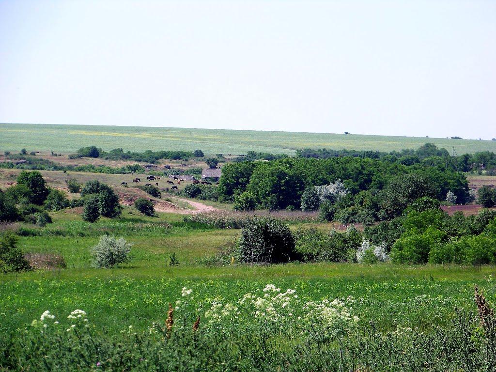 Гурівка з panoramio.com - Гурівка