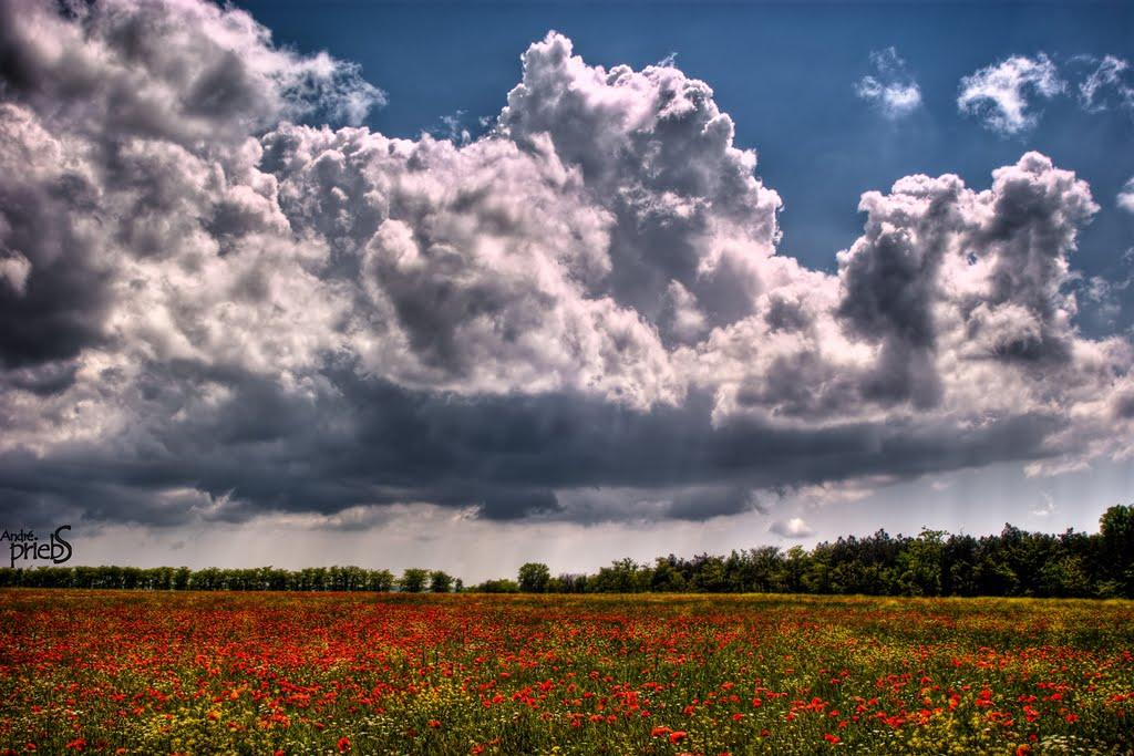 Леніне з panoramio.com - Леніне