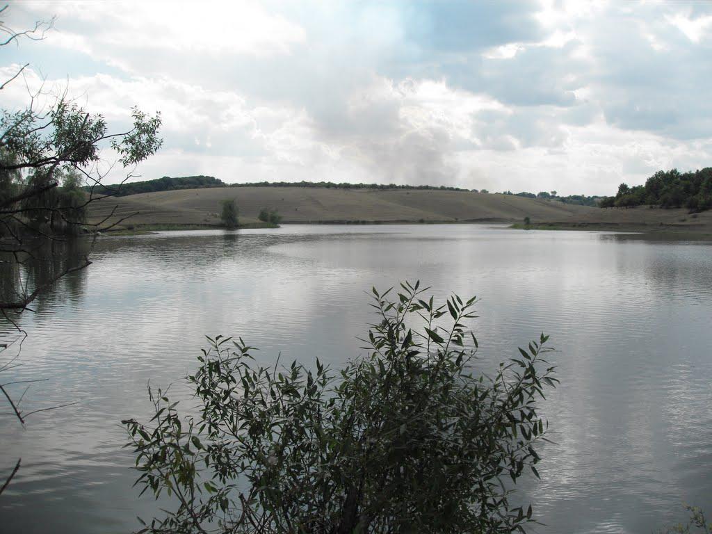 Верхня Орілька з panoramio.com - Верхня Орілька