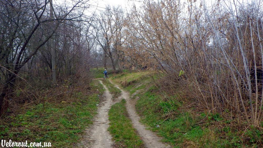 Тростинка з panoramio.com - Тростинка