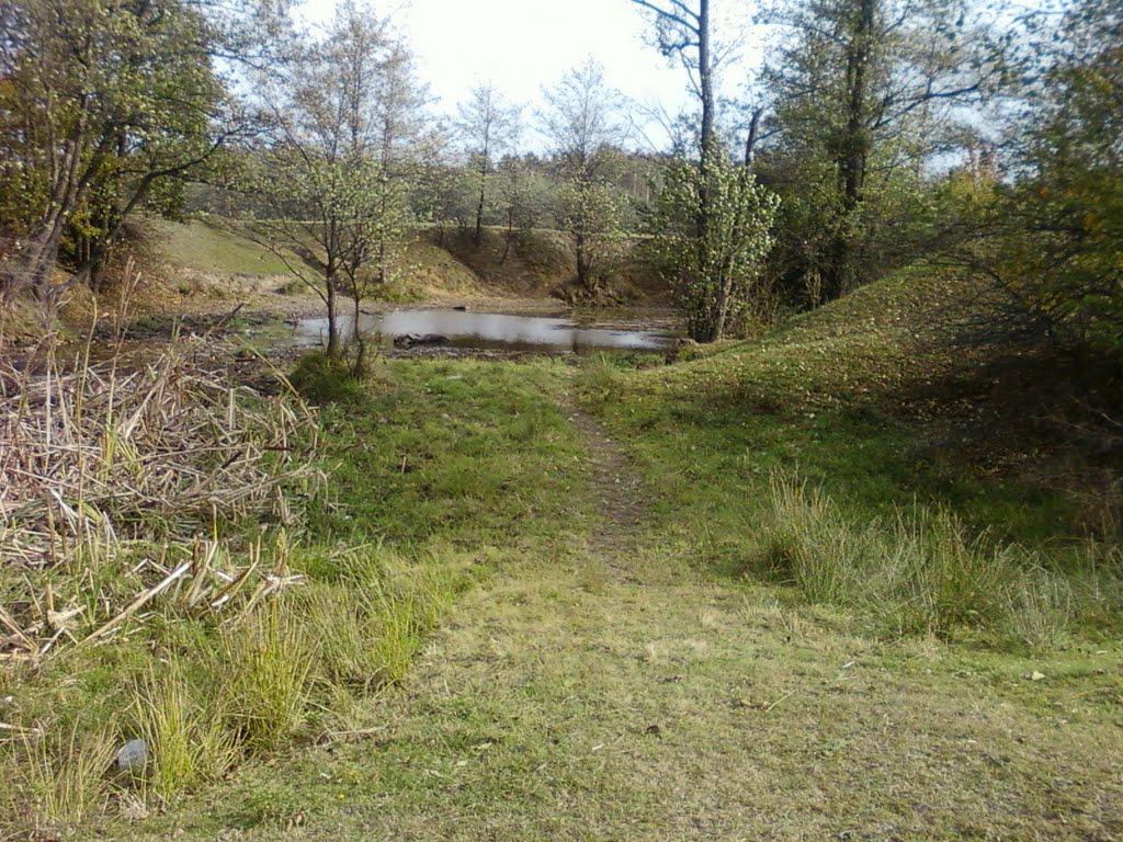 Павлівка з panoramio.com - Павлівка
