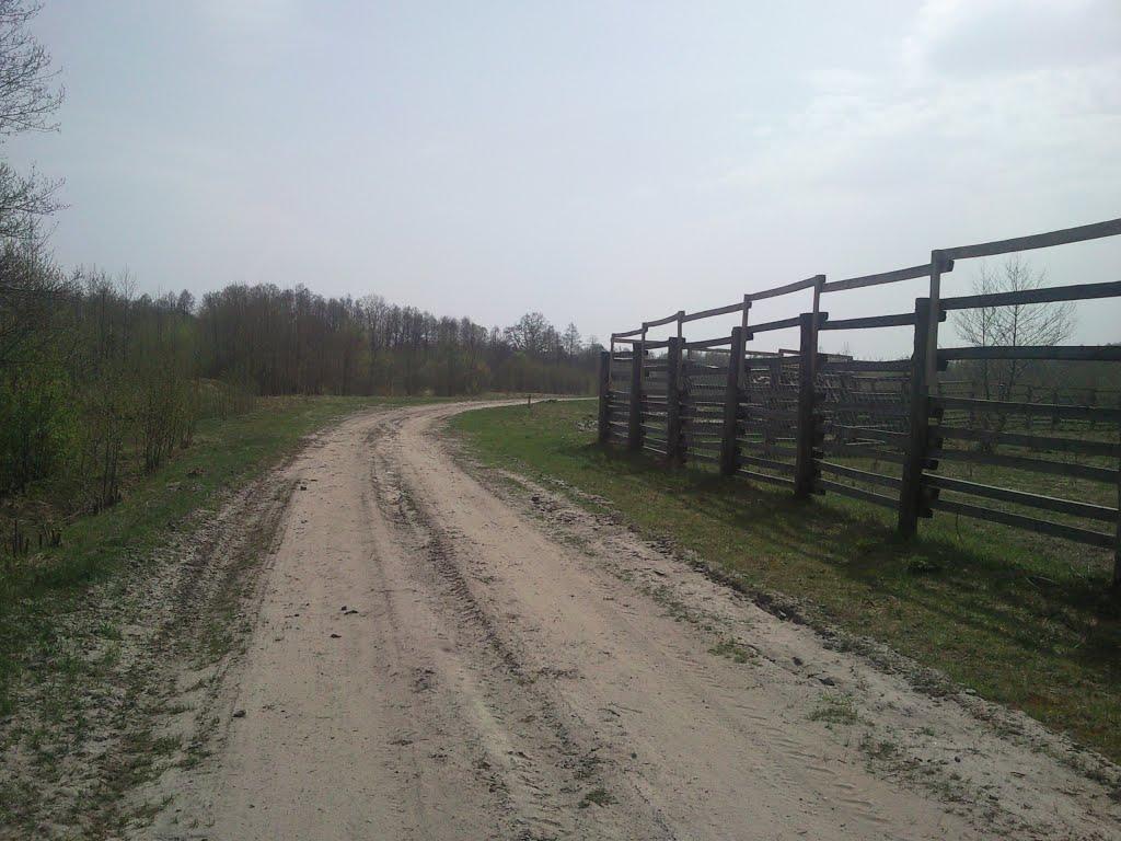 Котів з panoramio.com - Котов