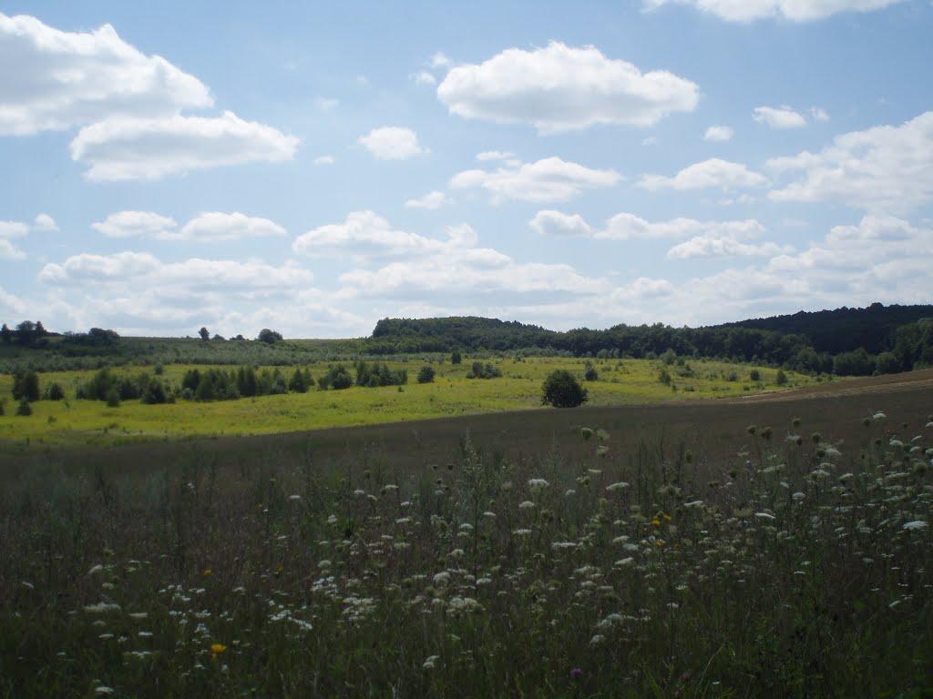 Підцурків з panoramio.com - Подцурков