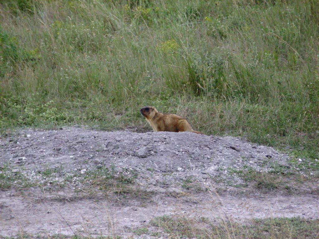 Лозне з panoramio.com - Лозное
