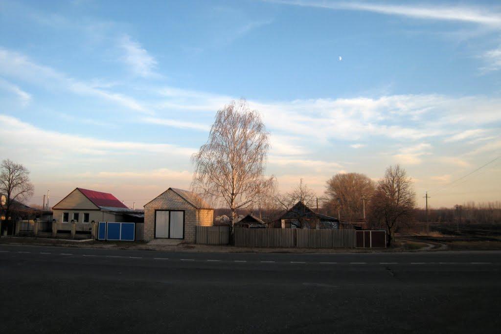 Новопсков з panoramio.com - Новопсков
