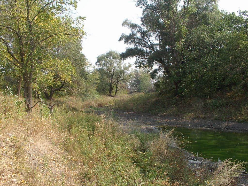 Кружилівка з panoramio.com - Кружиловка