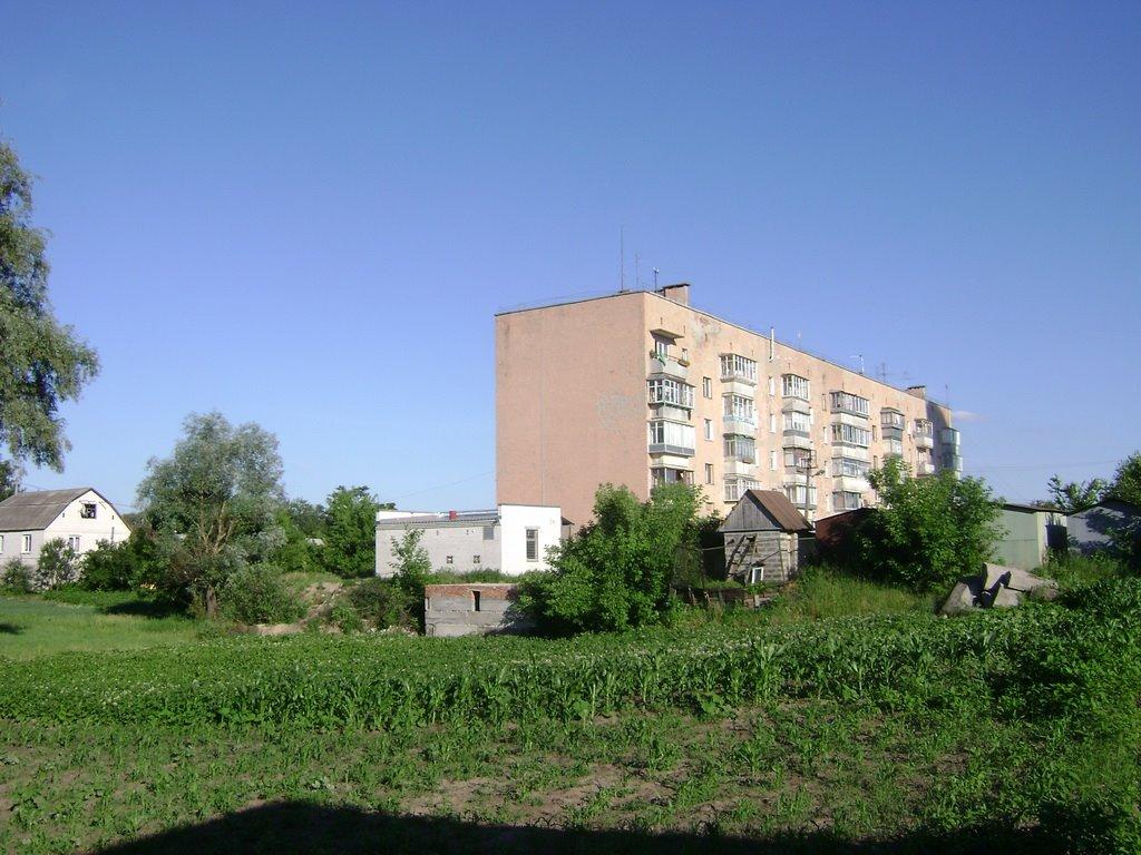 Козин з panoramio.com - Козин