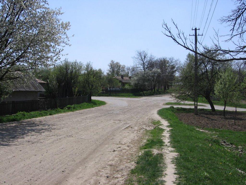 Тарасівці з panoramio.com - Тарасівці