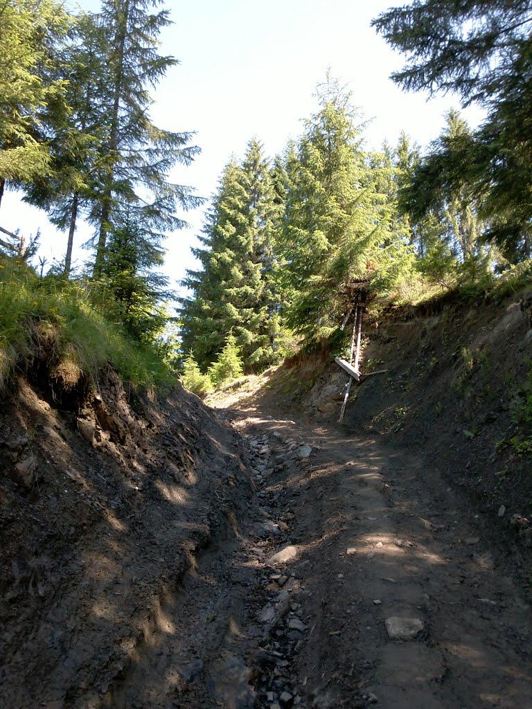 Буркут з panoramio.com - Буркут