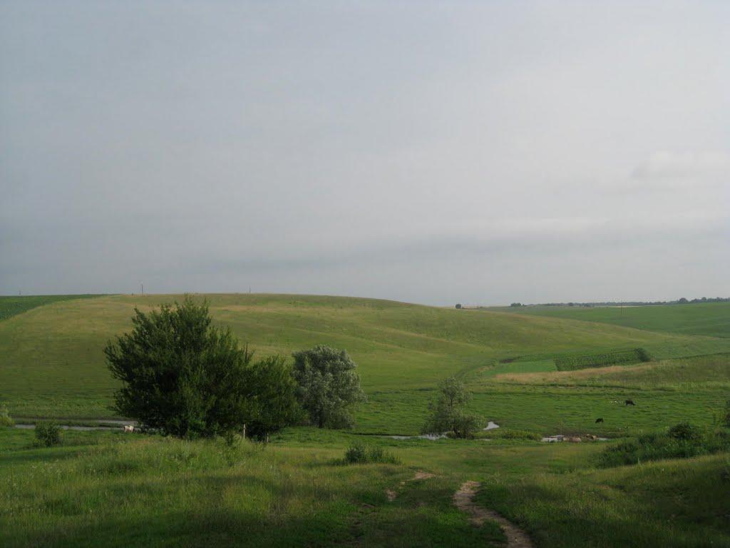 Бабине з panoramio.com - Бабино