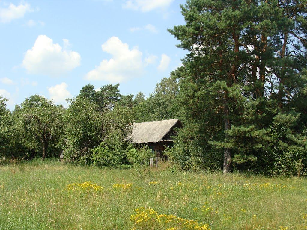 Річки з panoramio.com - Richky