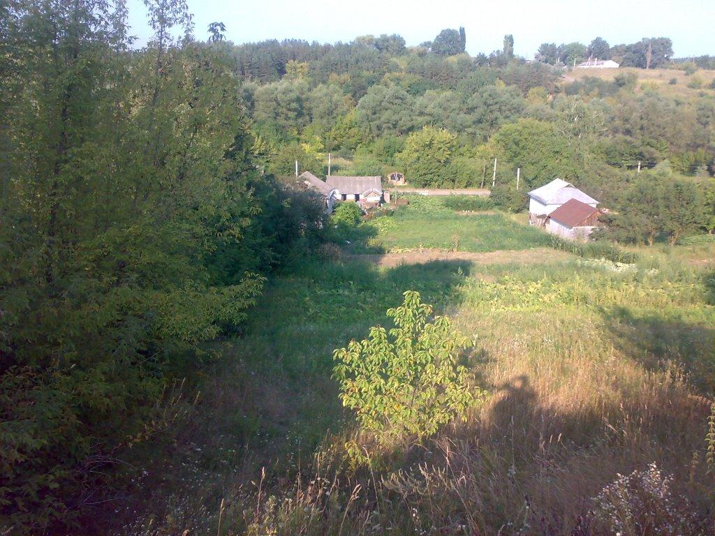 Моринці з panoramio.com - Моринці