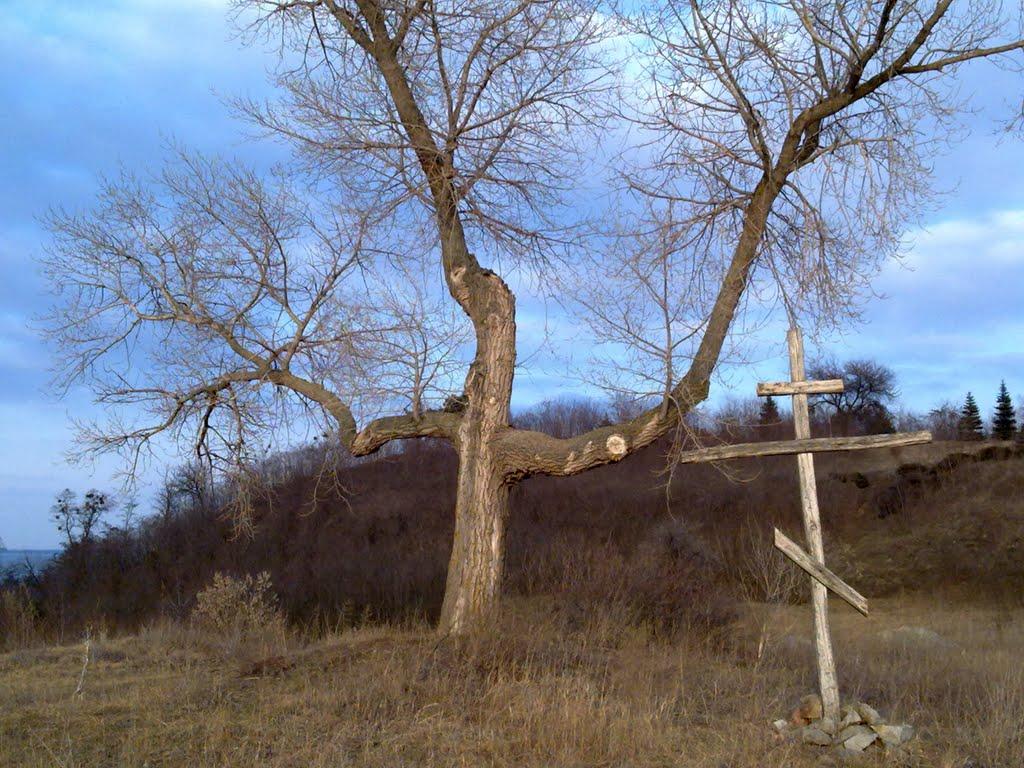 Трахтемирів з panoramio.com - Trakhtemyriv
