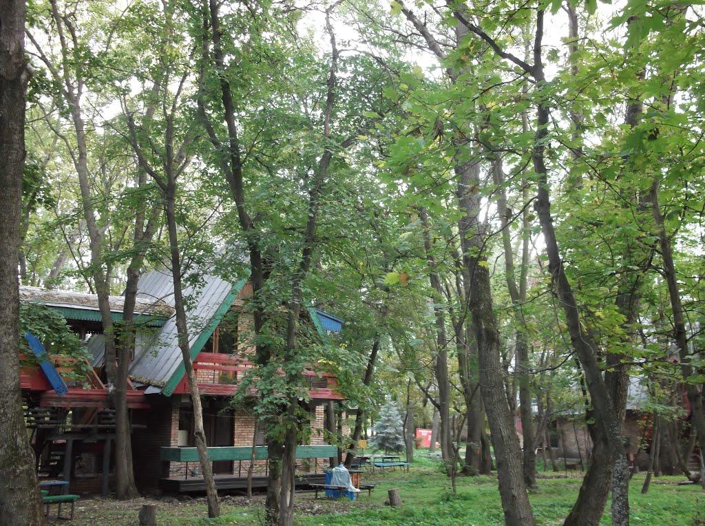 Орлівщина з panoramio.com - Орловщина