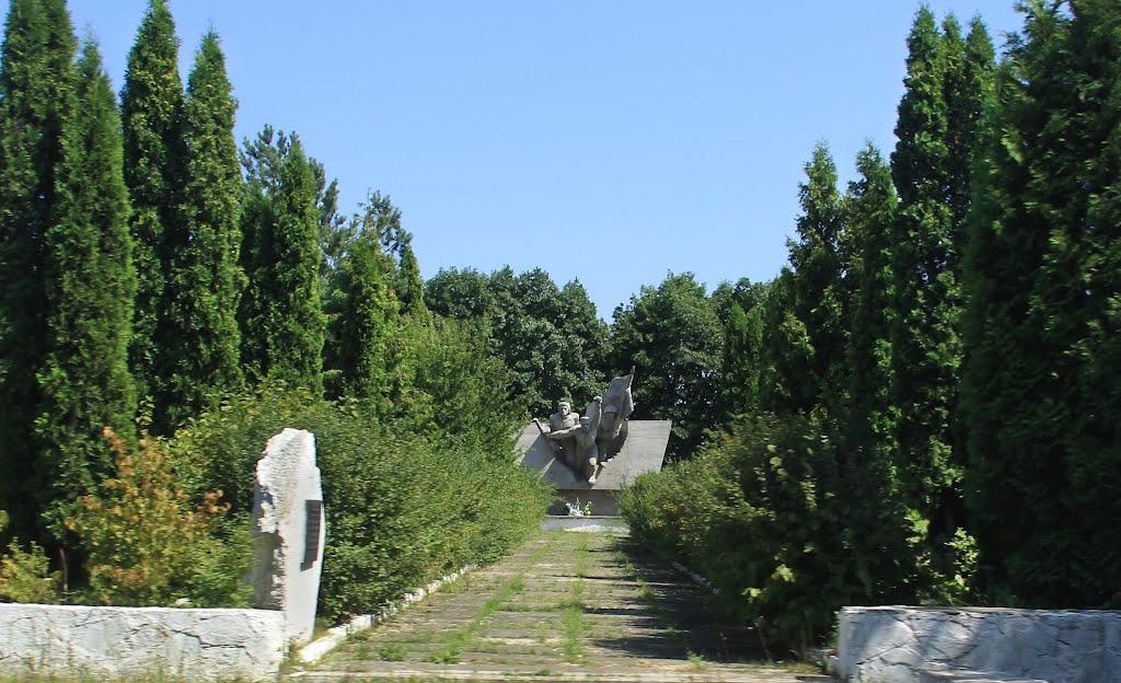 Сасів з panoramio.com - Сасов