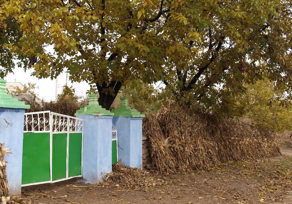 Новокрасне з panoramio.com - Новокрасное