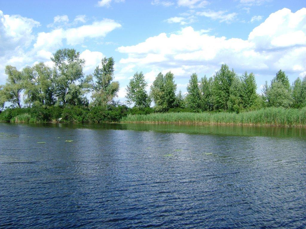 Свидівок з panoramio.com - Свидовок
