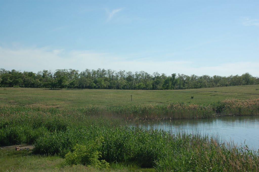 Хрустальний з panoramio.com - Хрустальный