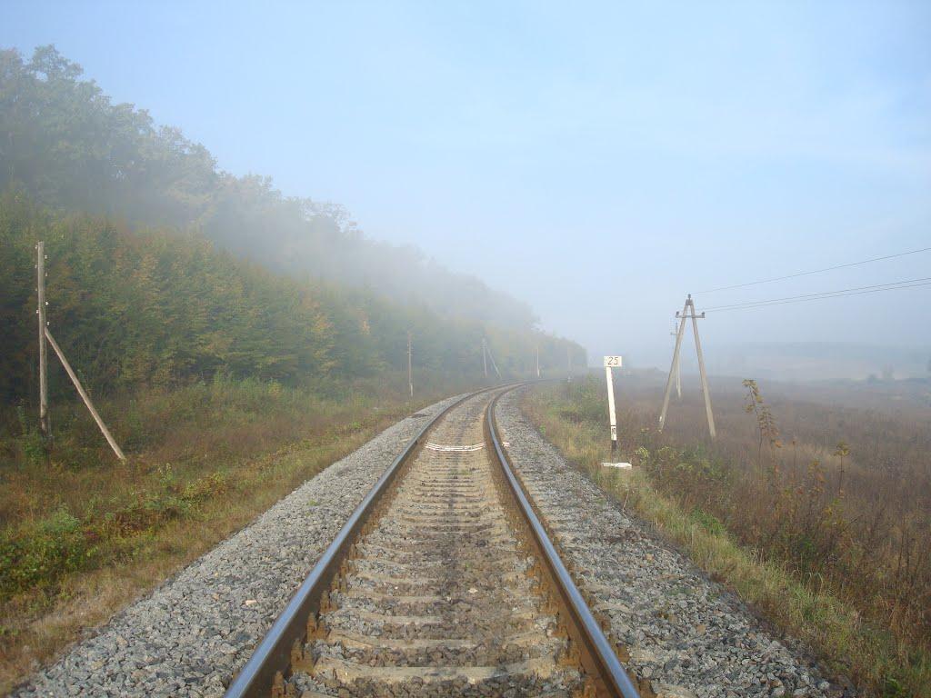 Городок з panoramio.com - Городок