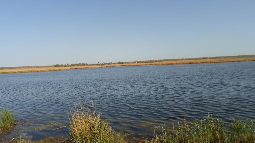 Кучурган з panoramio.com - Kuchurgan