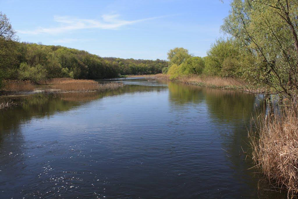 Загородище з panoramio.com - Загородище