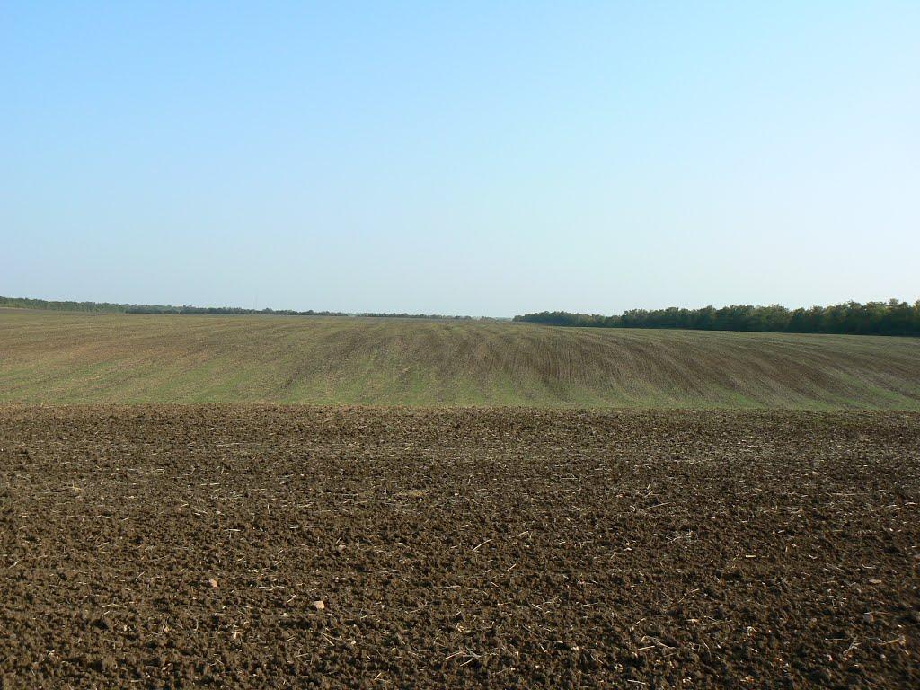 Куйбишеве з panoramio.com - Kuybisheva