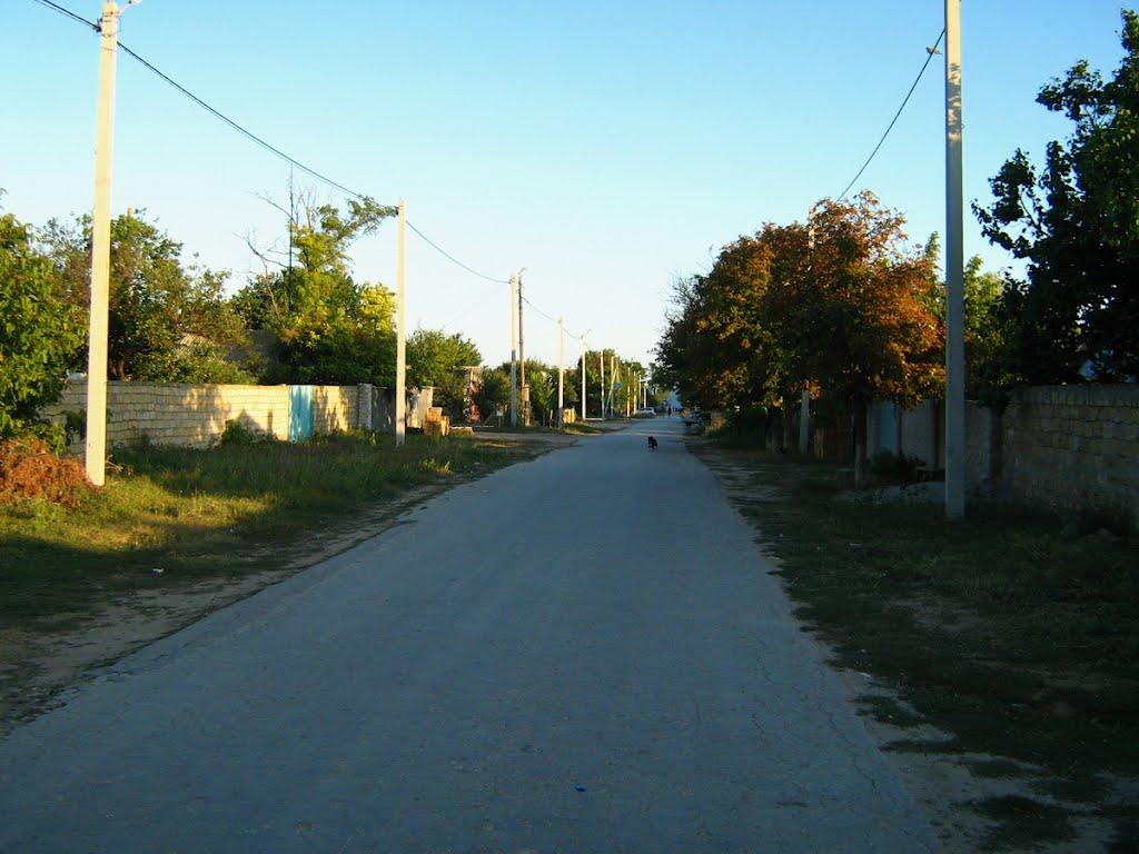 Окунівка з panoramio.com - Окуневка