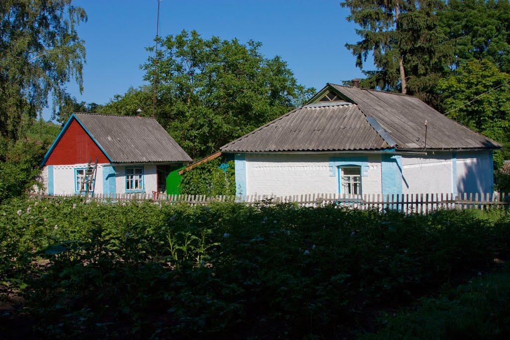 Розкопане з panoramio.com - Раскопанное