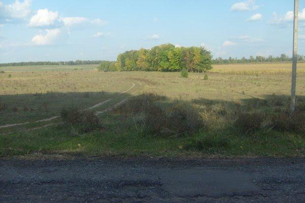 Каплинці з panoramio.com - Каплинцы